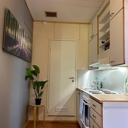 Bungalow House Flat 35m2 公寓 *